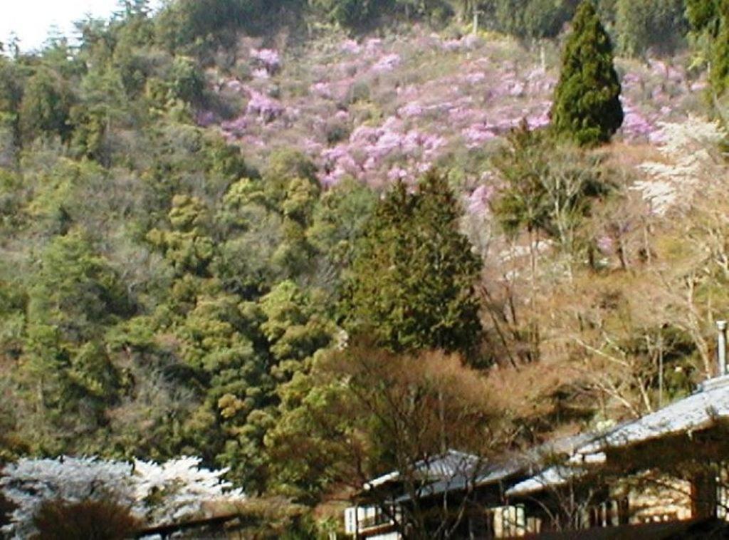 Takao Kanko Hotel Kyoto Luaran gambar